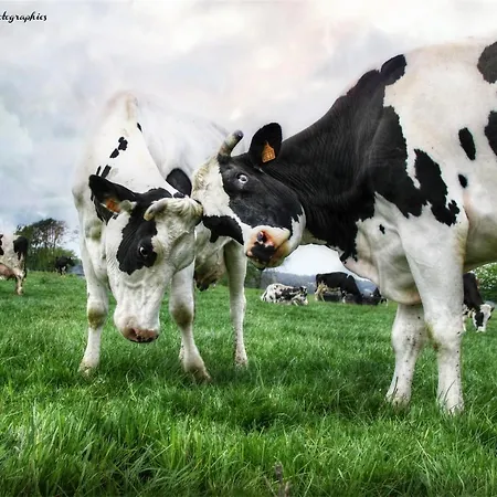 Дом отдыха Avec Superbe Vue Panoramique!